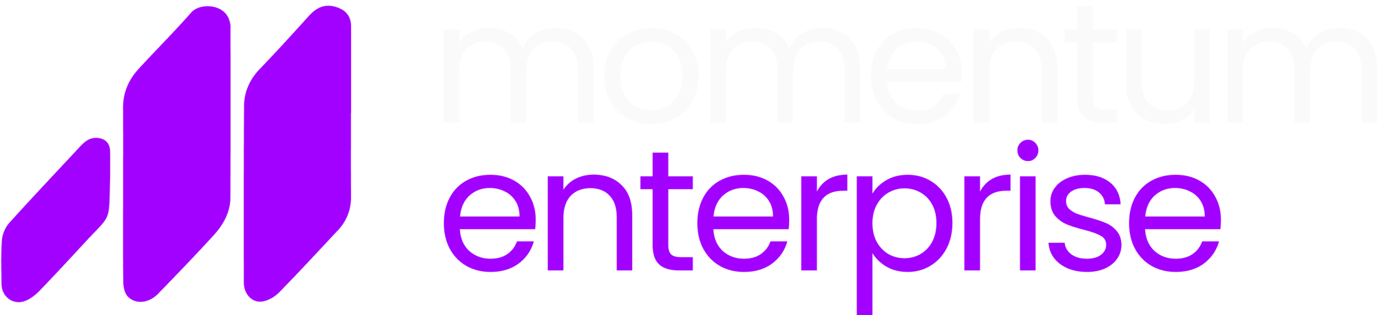 Momentum Enterprise Logo lt
