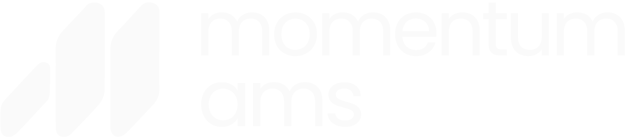 Momentum AMS Logo